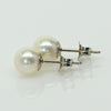 Cultured Pearl 6mm 14k White Gold Stud Earrings