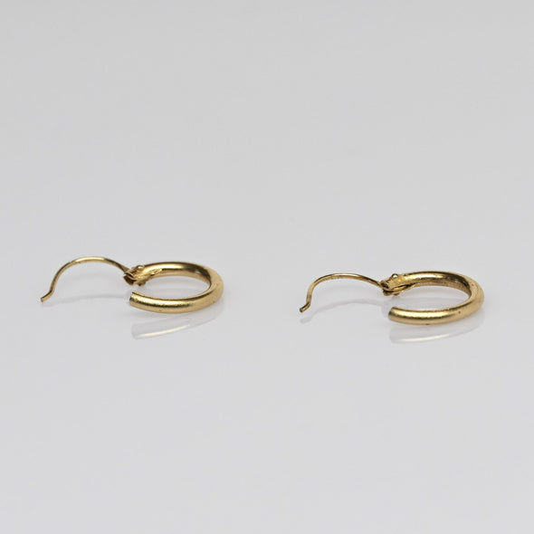 Mini 14K Yellow Gold 10mm Hoop Earrings